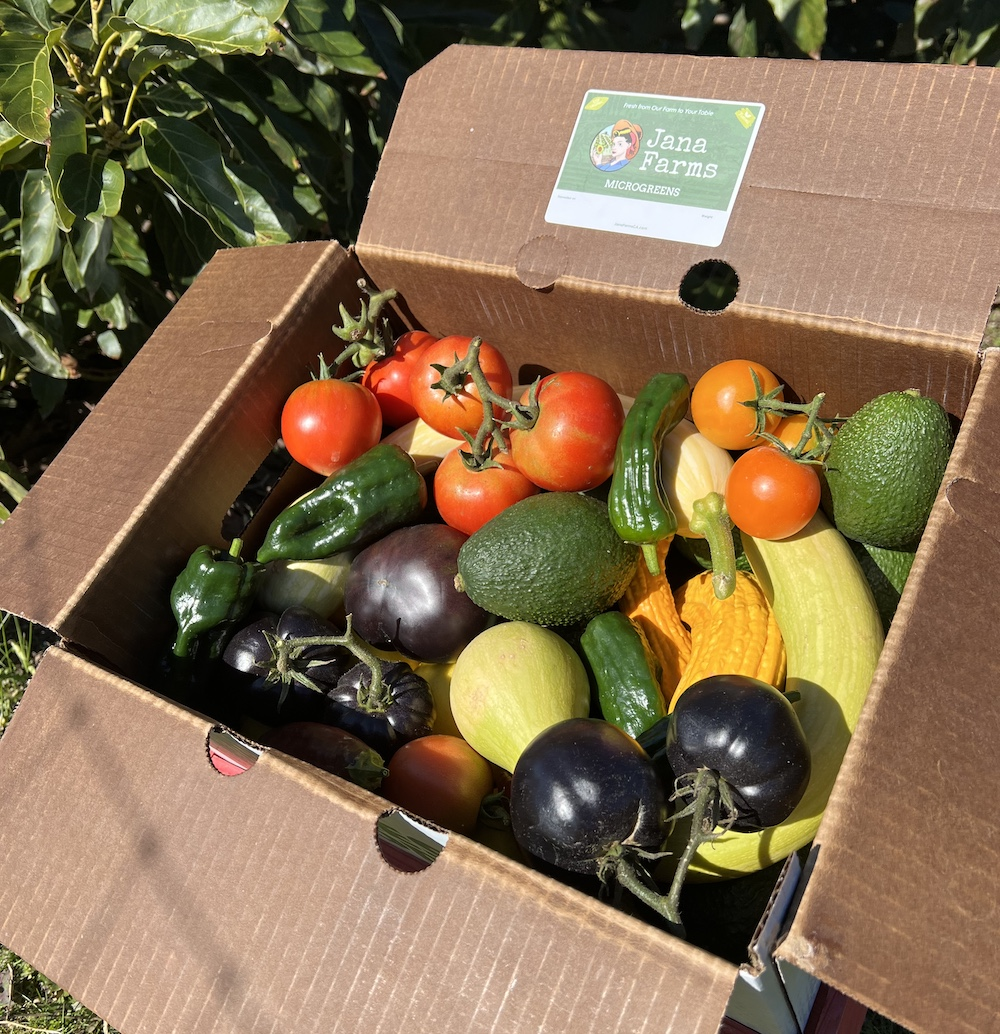 CSA Box