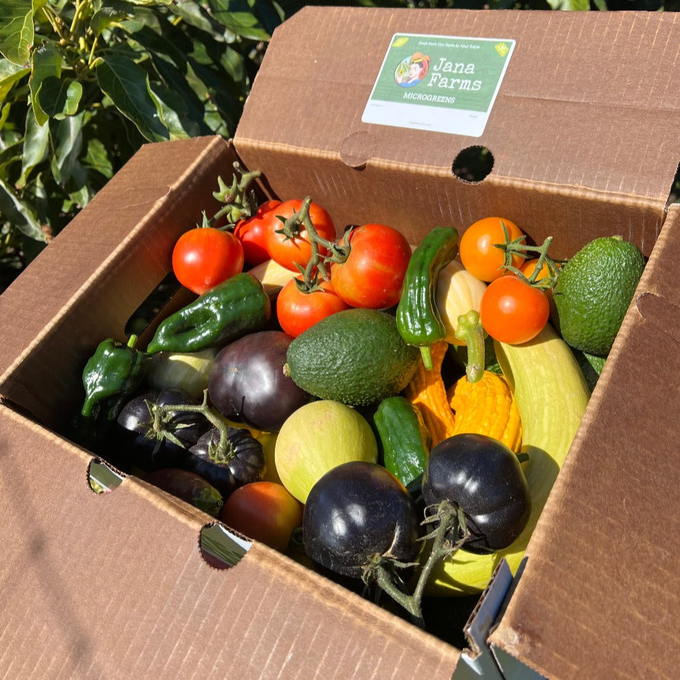 CSA Box